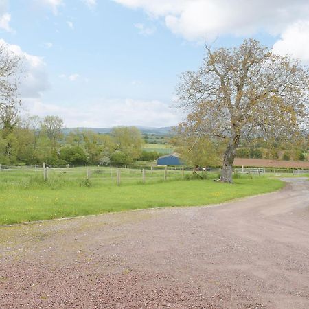 Villa Woltons Mill Much Marcle Esterno foto