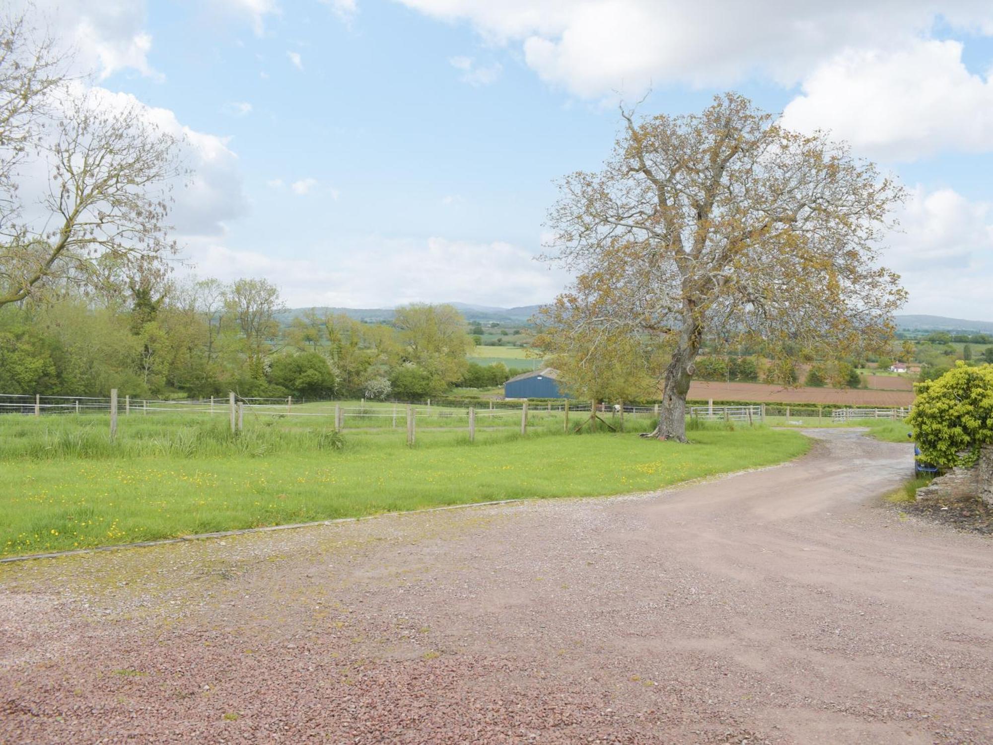 Villa Woltons Mill Much Marcle Esterno foto